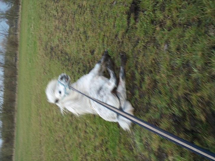 KASTERATION billede 3