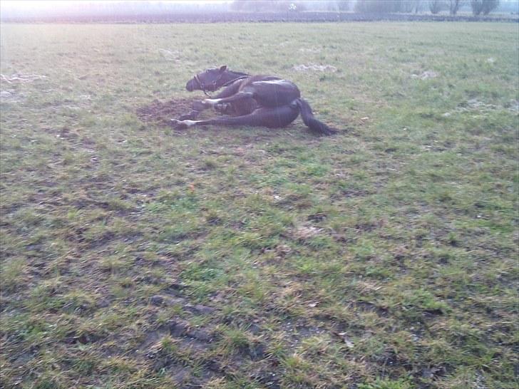 KASTERATION billede 4