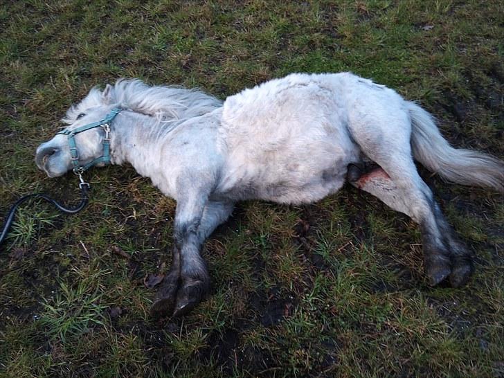 KASTERATION billede 5