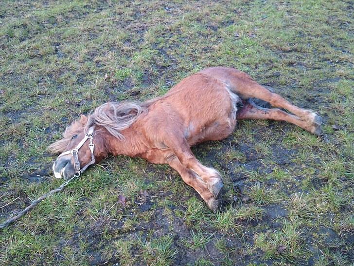 KASTERATION billede 6