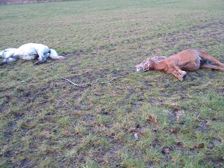 KASTERATION billede 1