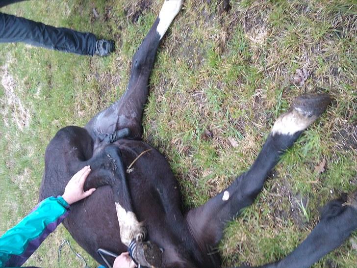 KASTERATION billede 7