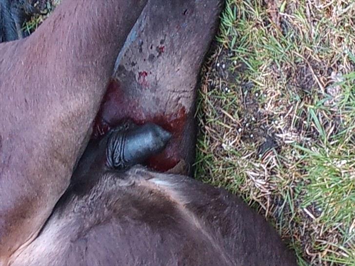 KASTERATION billede 9