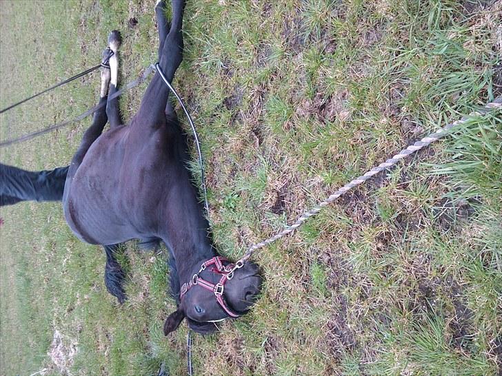 KASTERATION billede 10