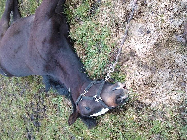 KASTERATION billede 11