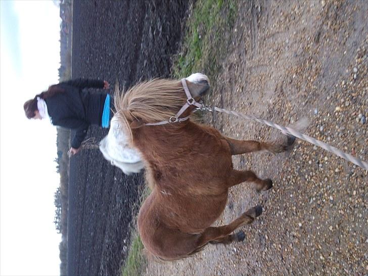 KASTERATION billede 12