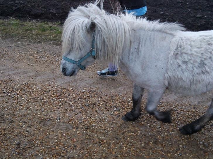 KASTERATION billede 13