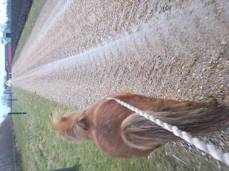 KASTERATION billede 14