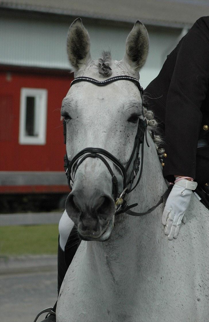 Alt muligt billede 6