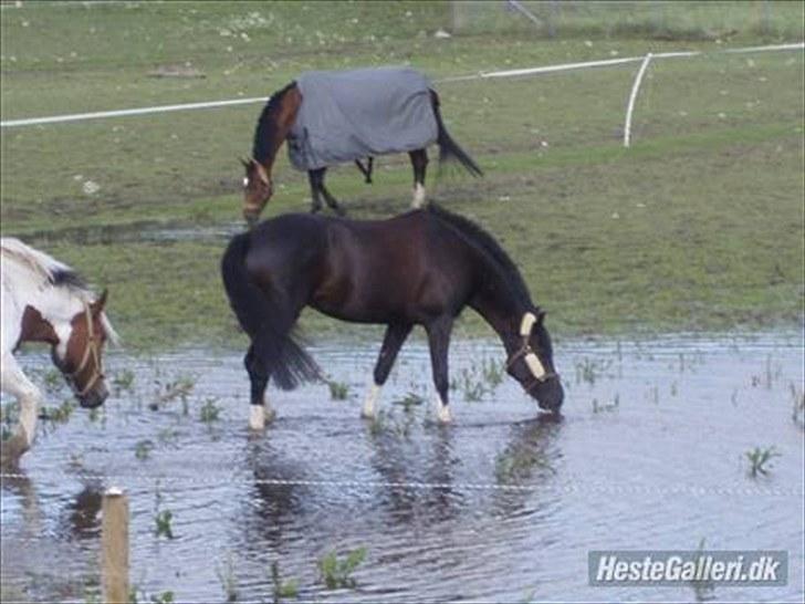 Alt muligt billede 10
