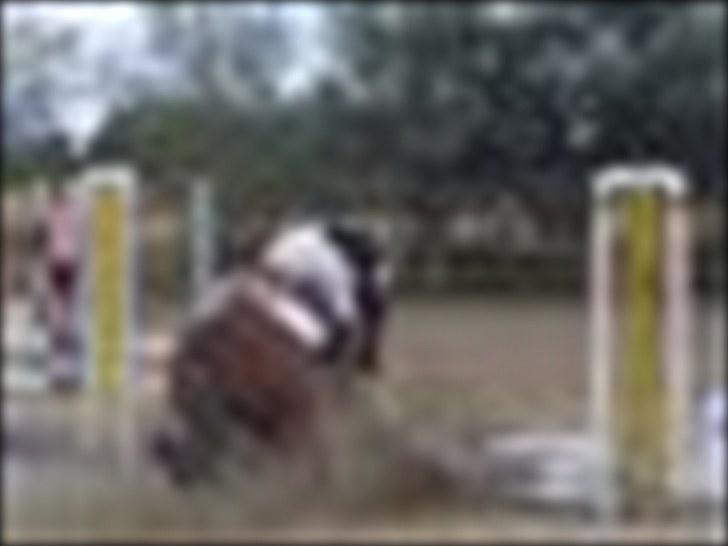 Alt muligt billede 11