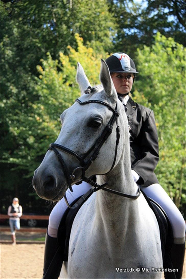 Alt muligt billede 13