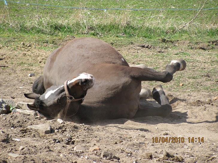 Etta med voks i patter billede 6