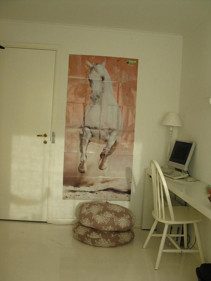 Mit værelse. - Min store hesteplakat på 170 cm. billede 11