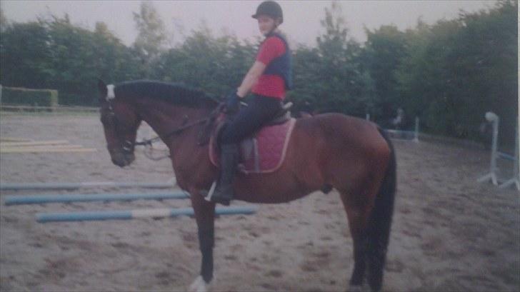 Forskellige heste/ponyer jeg har redet gennem tiden! - Joe, HRK skolehest.
- Solgt til privat! billede 3