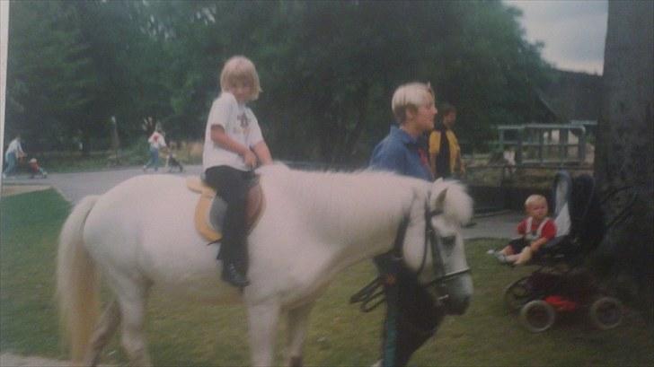 Forskellige heste/ponyer jeg har redet gennem tiden! - Pony i Zoo billede 4