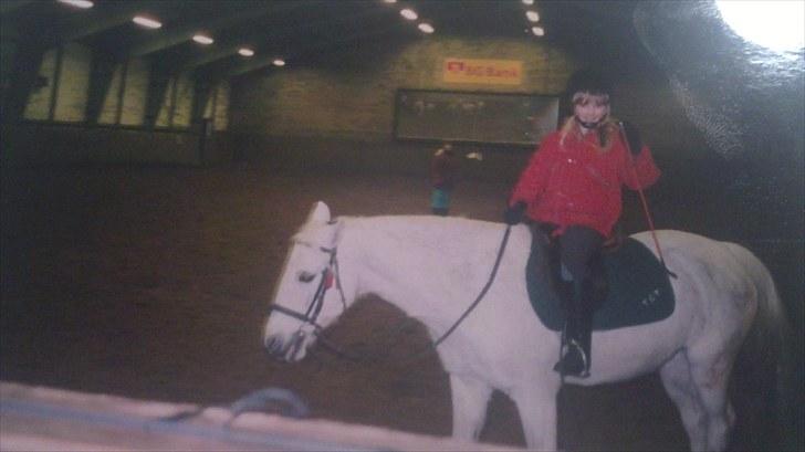 Forskellige heste/ponyer jeg har redet gennem tiden! - Tot, Frederiksdal rideklub.. billede 6