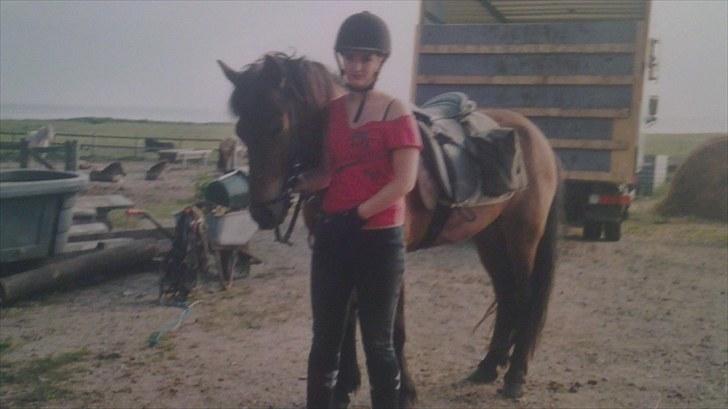 Forskellige heste/ponyer jeg har redet gennem tiden! - Elska - Rømø! billede 8