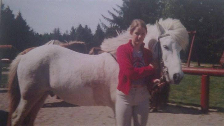 Forskellige heste/ponyer jeg har redet gennem tiden! - Baldur - Skallerupklit! billede 10