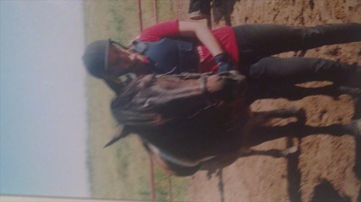 Forskellige heste/ponyer jeg har redet gennem tiden! - Amanda, Enghøjs ponyklub!
R.I.P billede 12