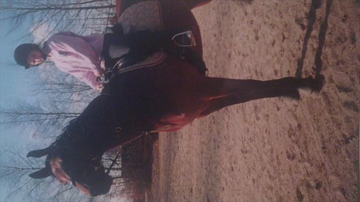 Forskellige heste/ponyer jeg har redet gennem tiden! - Fleur de rose - Gamle part på HRK! billede 15