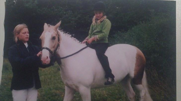 Forskellige heste/ponyer jeg har redet gennem tiden! - Pinoccio <3
- Lærkes gamle pony HRK billede 16