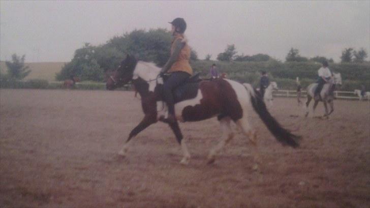 Forskellige heste/ponyer jeg har redet gennem tiden! - Tamara, digelsgård ridelejer! billede 17