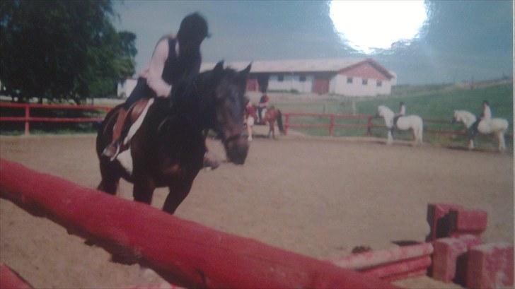 Forskellige heste/ponyer jeg har redet gennem tiden! - Amanda
- Enghøjs Ponyklub R.I.P billede 30