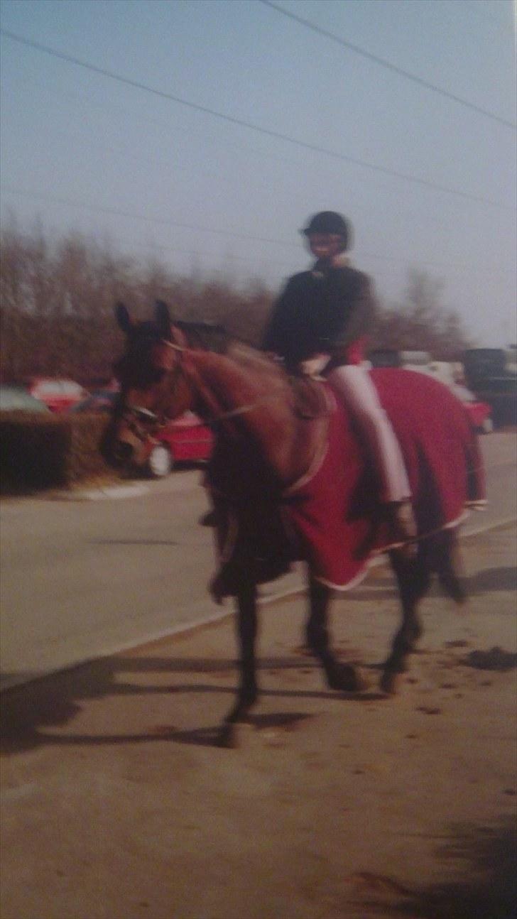 Forskellige heste/ponyer jeg har redet gennem tiden! - Fleur de rose
- Gamle part på HRK billede 33