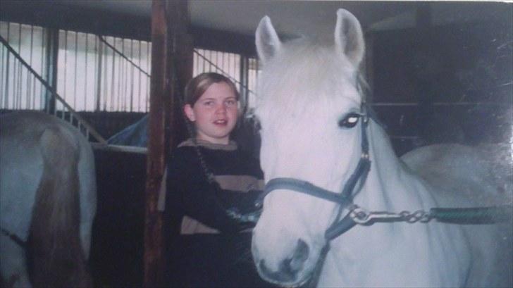 Forskellige heste/ponyer jeg har redet gennem tiden! - Felinie
- HRK skolepony! billede 38