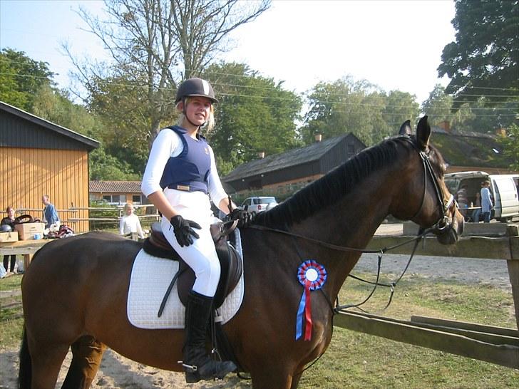 Forskellige heste/ponyer jeg har redet gennem tiden! - Chikca
- HRK rideskole hest! ( Hesten der smed mig af så jeg brækkede ryggen ) billede 48