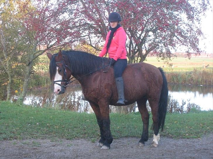 Forskellige heste/ponyer jeg har redet gennem tiden! - Celeste
- Rudkøbing efterskole! billede 49
