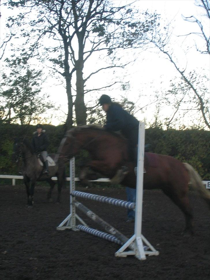 Forskellige heste/ponyer jeg har redet gennem tiden! - Freja
- Rudkøbing efterskole! billede 51