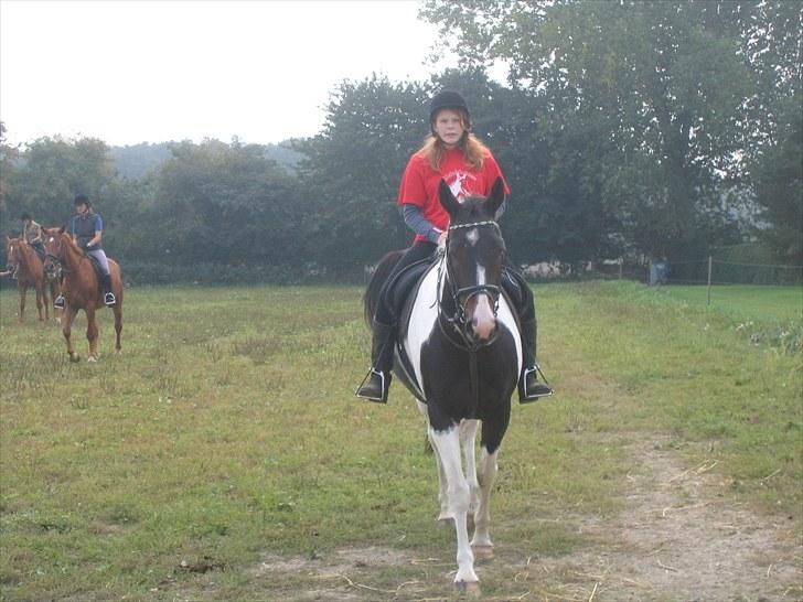 Forskellige heste/ponyer jeg har redet gennem tiden! - Bigi
- Rudkøbing efterskole, privat hest! billede 52