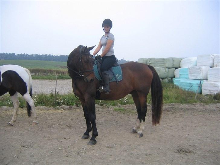 Forskellige heste/ponyer jeg har redet gennem tiden! - Apollo
- Rudkøbing efterskole! billede 53