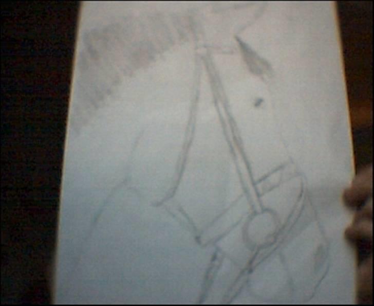Et par af mine tegninger - Hestehoved Undskyld Kvaliteten ! billede 2