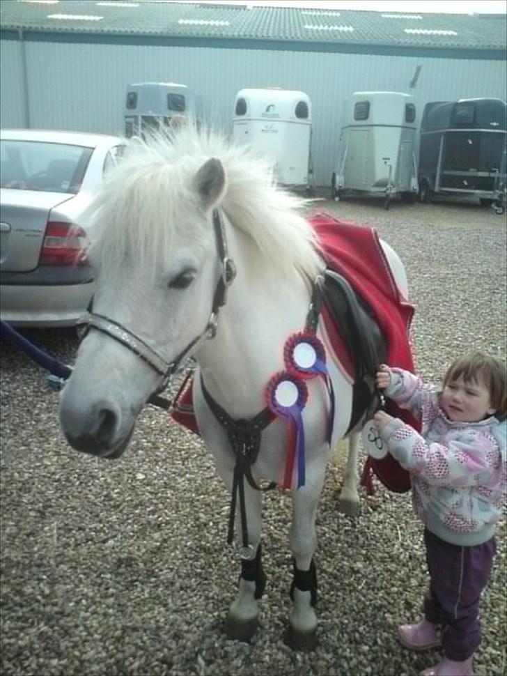 Lucky - Lucky 25. april Sydthy Rideklub 
Lillesøs er med som stævnehjælp.
2 nulrunder i ULE og ULD billede 3