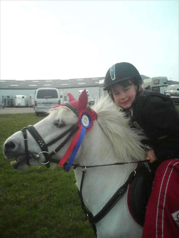 Lucky - Av!!  Min mund. Men Lucky har travlt, og ikke tid til at blive fotograferet.... billede 7