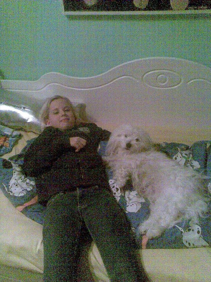 Forskelligt fra hverdagen <3 billede 1