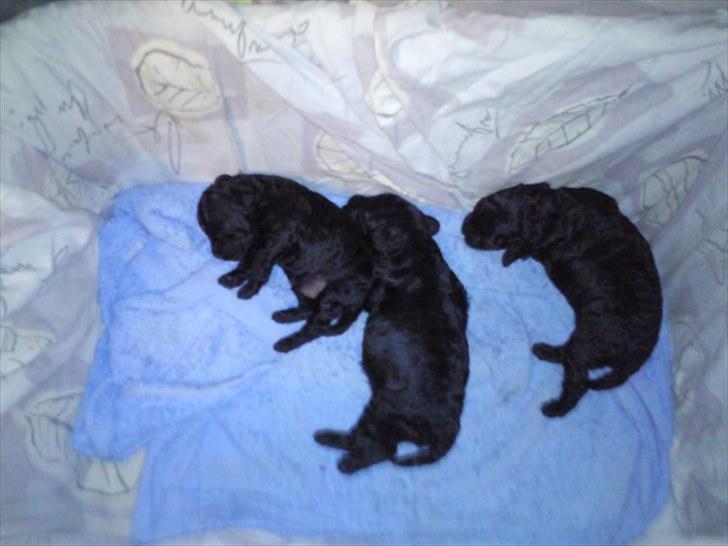 Forskelligt fra hverdagen <3 billede 2