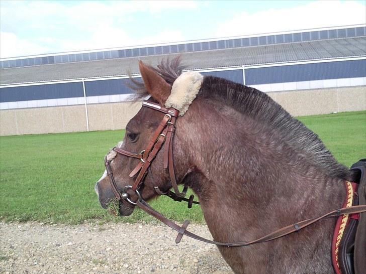 Forskelligt fra hverdagen <3 billede 3