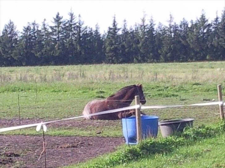 Forskelligt fra hverdagen <3 billede 4