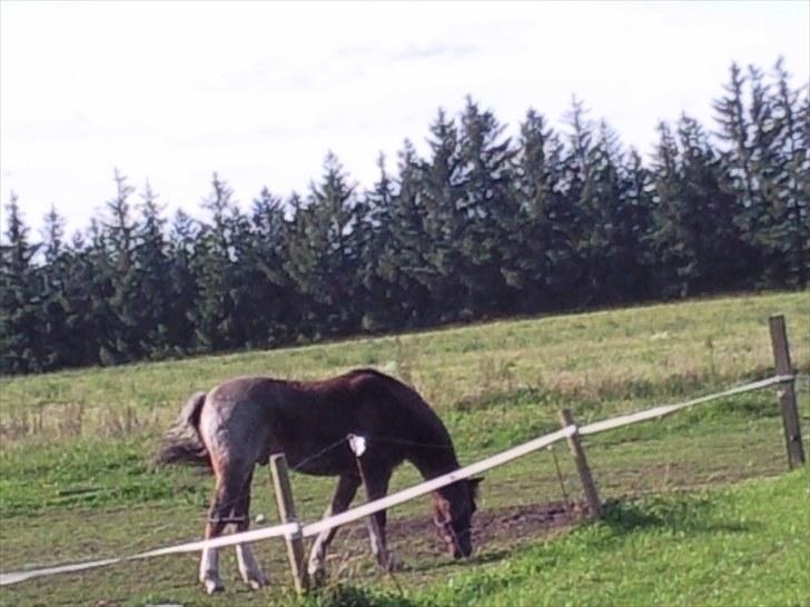 Forskelligt fra hverdagen <3 billede 5