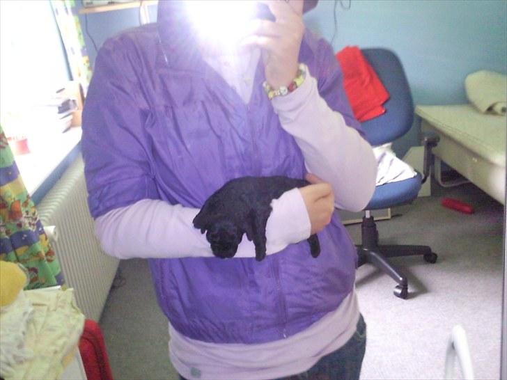 Forskelligt fra hverdagen <3 billede 10