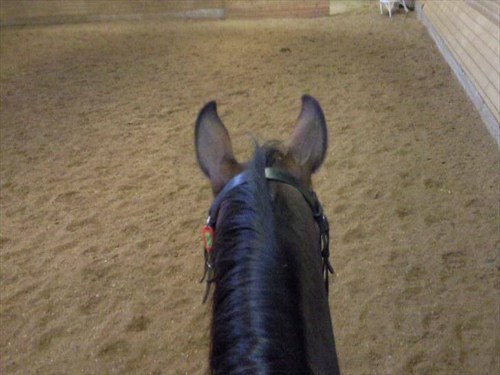 Forskelligt fra hverdagen <3 billede 11