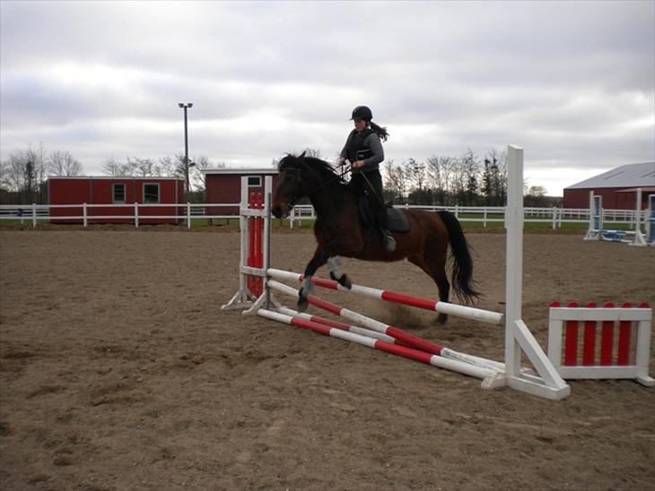 {{currentPhoto.altText}} billede {{currentPhoto.number}}