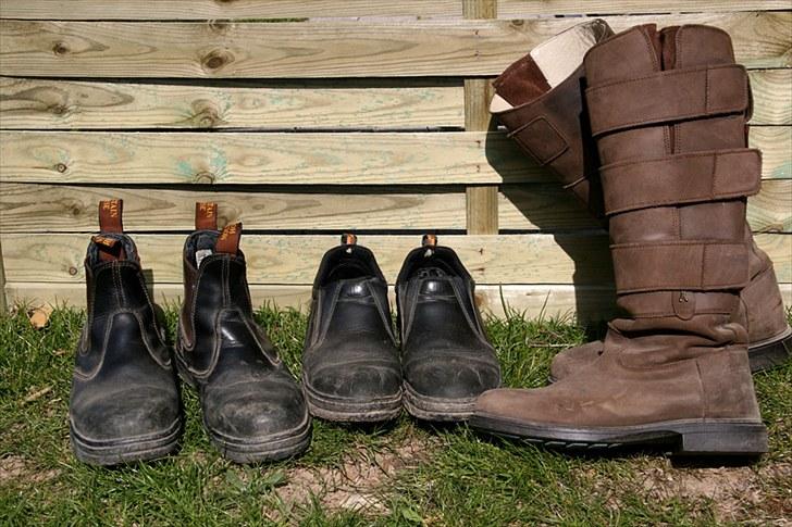 Mit udstyr - Mountain Horse Protective Jodphur - 
Mountain Horse Stable Loafer - 
Hobo høje støvler billede 42