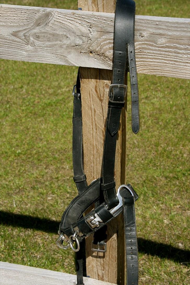 Mit udstyr - Kapsun - Godt nok er den forreste ring væk, men den virker fint alligevel... billede 58