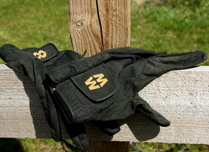 Mit udstyr - Hverdagsridehandsker billede 36