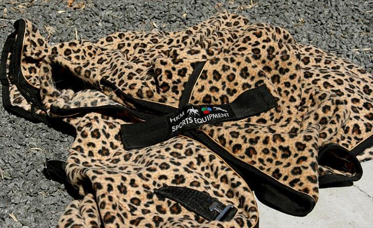 Mit udstyr - Wow wow...
Leopard plettet fleecedækken fra HKM billede 49